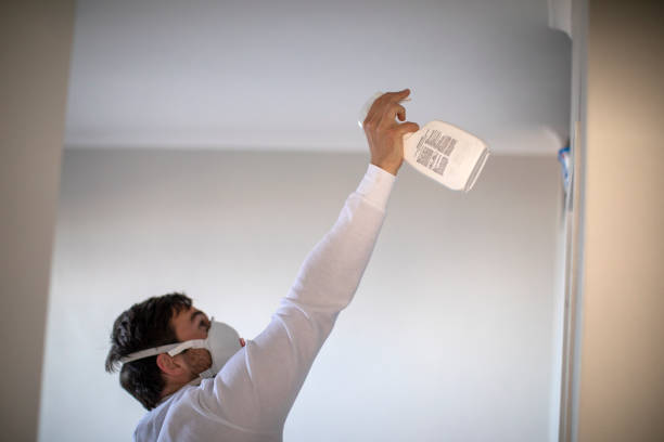Best Toxic Mold Removal  in Moosic, PA