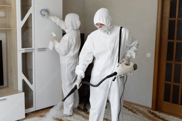 Home Mold Removal in Moosic, PA