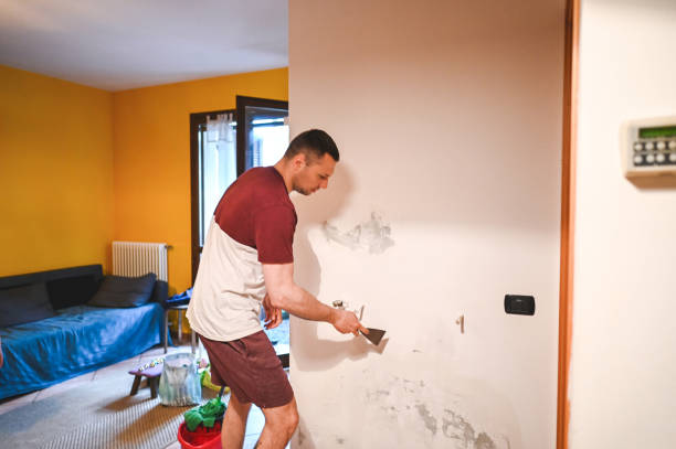 Best Residential Mold Removal  in Moosic, PA